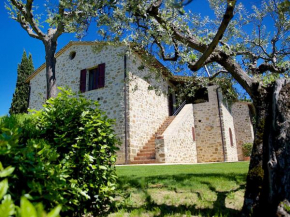 Agriturismo Le Colombe Assisi Assisi